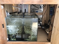 8ft x 2ft x 2ft Fish Tank