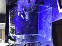 Aquaone nanoreef 35