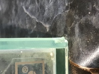 Aquaone nanoreef 35