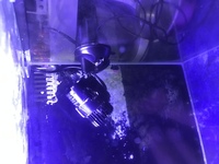 Aquaone nanoreef 35