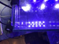 Aquaone nanoreef 35