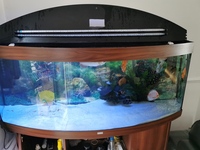 Full Set Up for Sale
