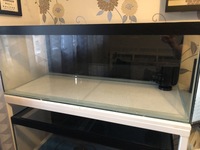 Double tank rack / breeding setup