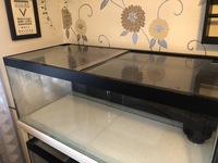 Double tank rack / breeding setup