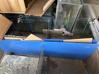 10 Various breeding tanks available x2 sumps £250