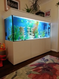BRAND New, 700l white gloss stunning aquarium