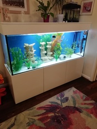 BRAND New, 700l white gloss stunning aquarium