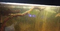 NOW SOLD-ONLY TODAY FOR FOR £50-Rio 125 full set up/water tight must go asap--ono £65(or make me an offer) in Leeds