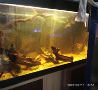 NOW SOLD-ONLY TODAY FOR FOR £50-Rio 125 full set up/water tight must go asap--ono £65(or make me an offer) in Leeds