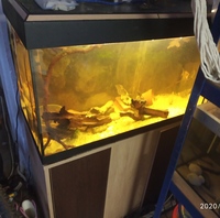 NOW SOLD-ONLY TODAY FOR FOR £50-Rio 125 full set up/water tight must go asap--ono £65(or make me an offer) in Leeds