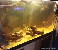 NOW SOLD-ONLY TODAY FOR FOR £50-Rio 125 full set up/water tight must go asap--ono £65(or make me an offer) in Leeds