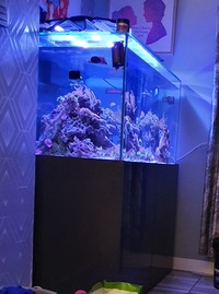 Tank swap
