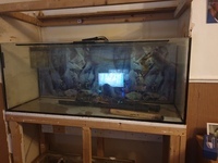 5ft by 19 inch by 22 inch fish tank no stand