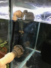 Fish House/Fish Room Aquarium Racking/Unit. 14 Tank Tropical Fish Breeding Setup £800