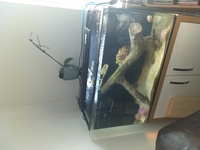 MARINE AQUARIUM FISH TANK SETUP PAID £500 REDUCED TO £180