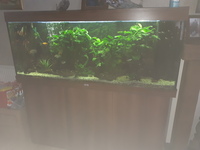 Entire contents of my 5ft tank for sale