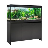 Fluval Roma 240L Aquarium (black) - £300