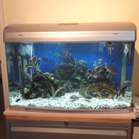 Aqua One AR850 Full Tropical set up with fish £175