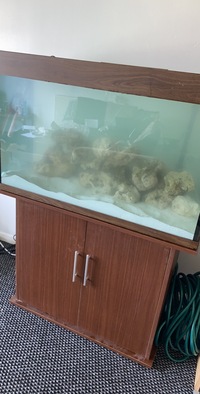 260 litre fish tank