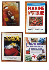 VARIOUS BOOKS FOR SALE