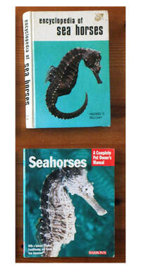 VARIOUS BOOKS FOR SALE