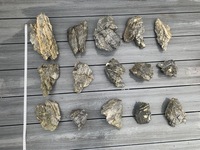 Sieryu Stone - Aquascaping Rocks - £30
