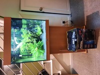 Juwel Lido 120 Beech with Cabinet and Fluval External Filter