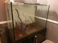 Clear seal 3 foot aquarium and stand £80