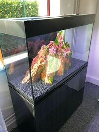 230L Diamond Aquarium Fish Tank Fluval 307 filter and and inline heater