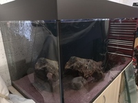 4x2x2 full set up
