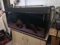 4x2x2 full set up