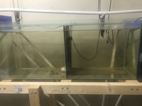 I’ve got 3 breeding tanks with a rack and Pump with heaters for sale