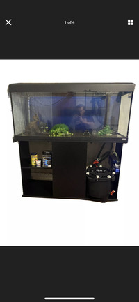 Fluval Roma 240 tank