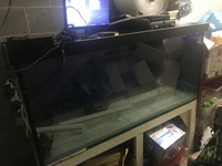 5.5ft fish tank with stand and sump