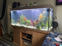 5 ft 450 litre aquarium for sale and all equipment
