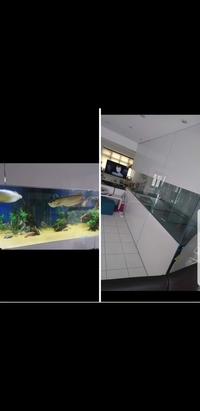 11ft aquarium
