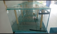 11ft aquarium
