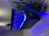 EHEIM INCPIRIA 400l reef tank for sale
