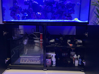 EHEIM INCPIRIA 400l reef tank for sale