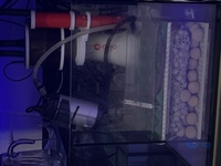 EHEIM INCPIRIA 400l reef tank for sale