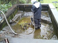 Howie Koi Dorset - Pond Maintenance and New Pond Set Ups