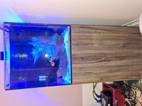 EA Reef 600s auarium