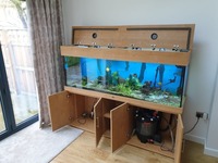 6ft, 510 litre ND Aquatics Aquarium for sale