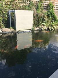 Howie Koi Dorset - Pond Cleaning and Maintenance - Covers Dorset, Hampshire and Somerset