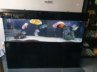 Closing down 6 ft aquarium