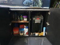 Closing down 6 ft aquarium