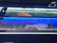 Closing down 6 ft aquarium