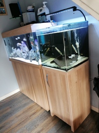 Aqua one 55ltr and stand. Immaculate condition