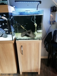 Aqua one 55ltr and stand. Immaculate condition