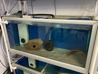 Fish Tank/Aquarium Racking Bay With 6x 3ft Tanks